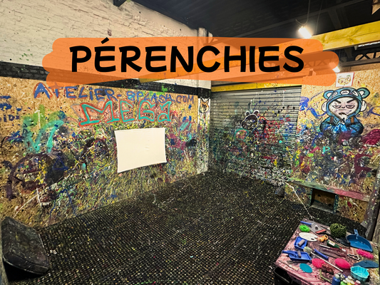 MEGA BOX 5 à 9 personnes