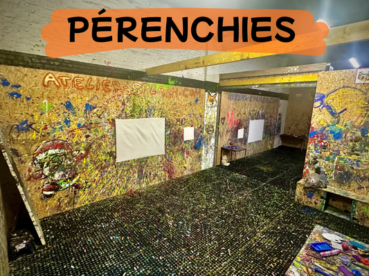 MEGA BOX 5 à 9 personnes